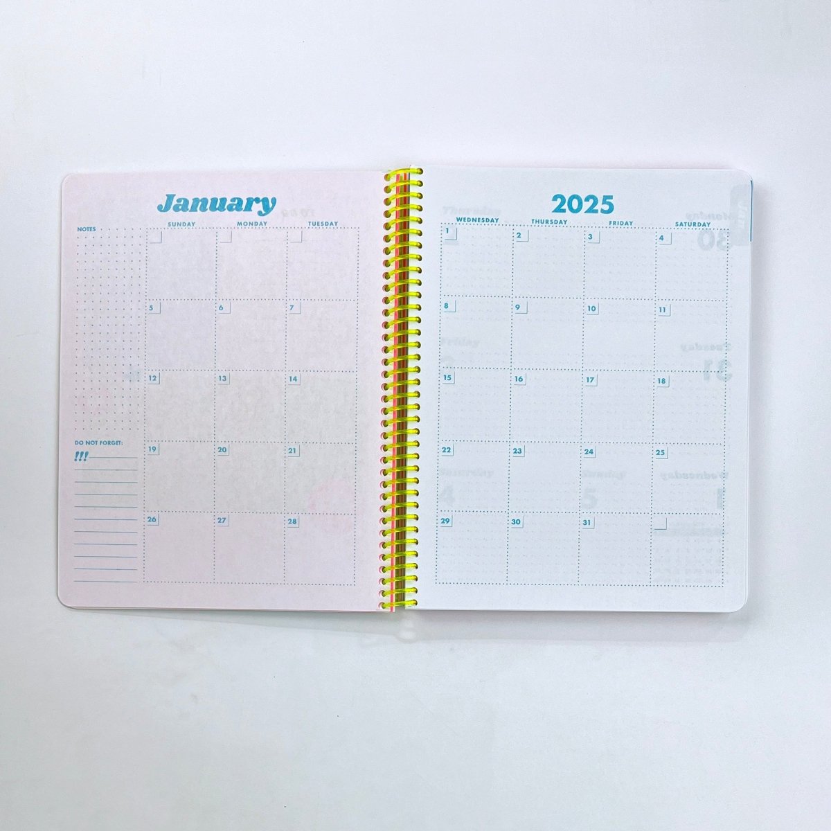 2025 Dated Planner - Riso Printed, 212 Pages, Spiral Bound - Next Chapter Studio