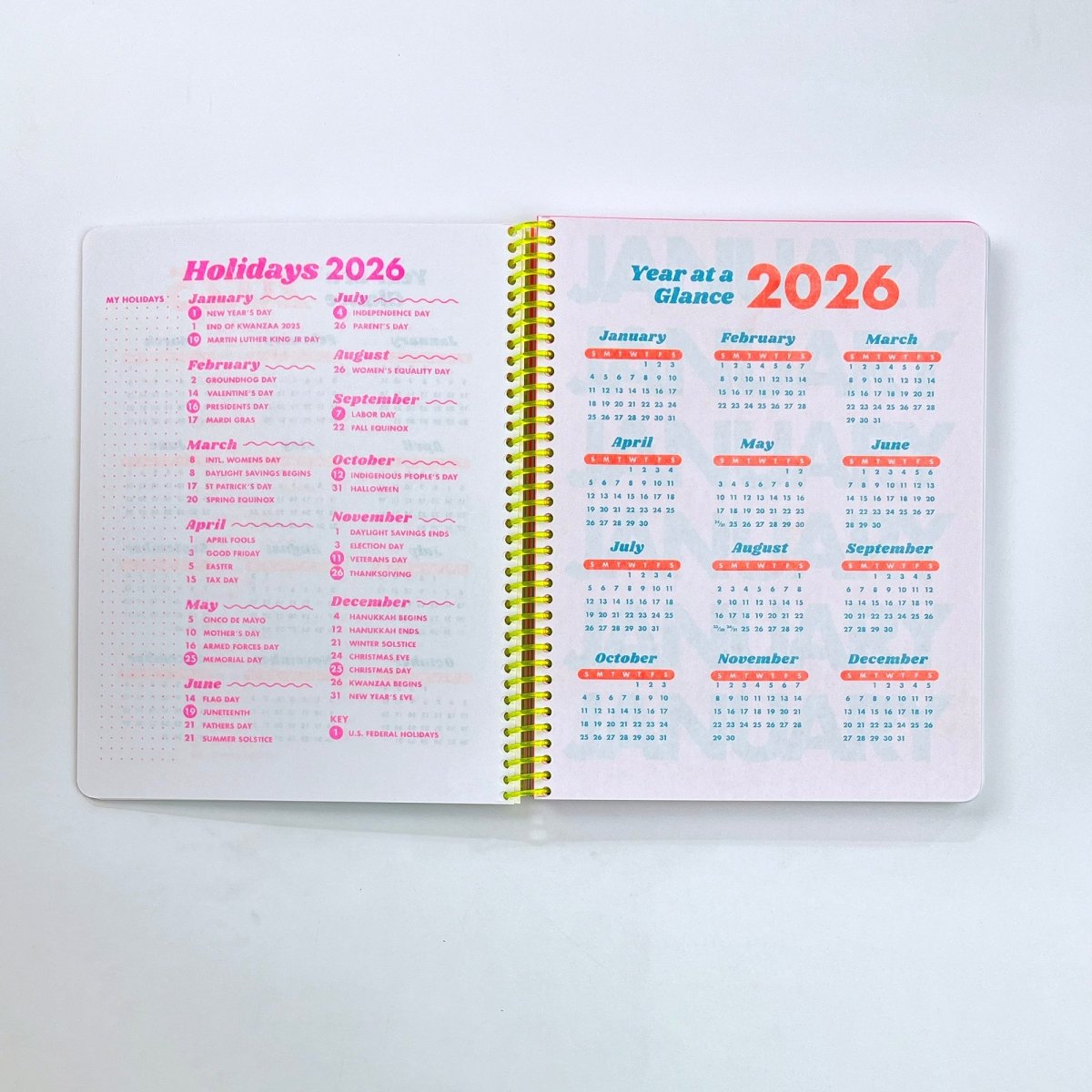 2025 Dated Planner - Riso Printed, 212 Pages, Spiral Bound - Next Chapter Studio